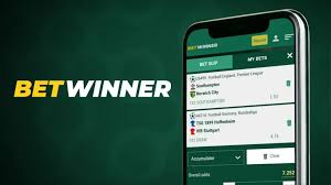 Discover the Thrills of BetWinner Casino